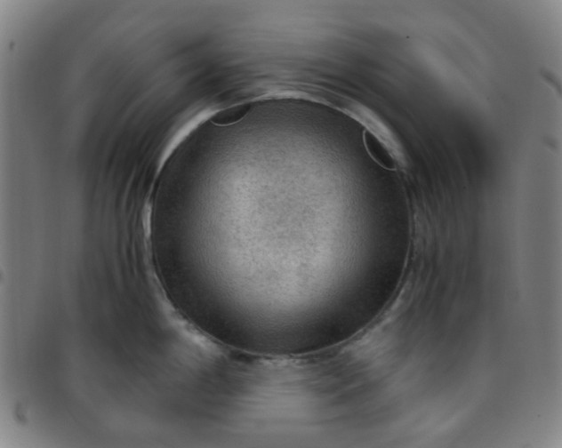 X0000097481198200803071709