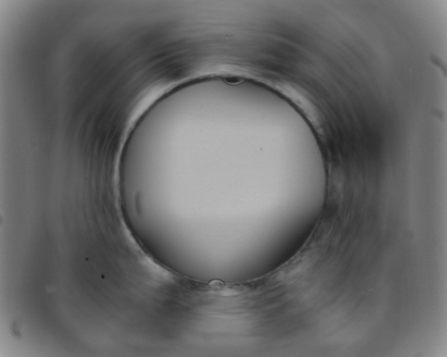 X0000097481199200803071709