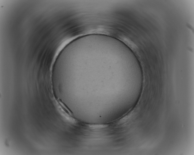 X0000097481200200803071709