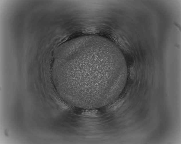 X0000097481201200803071709