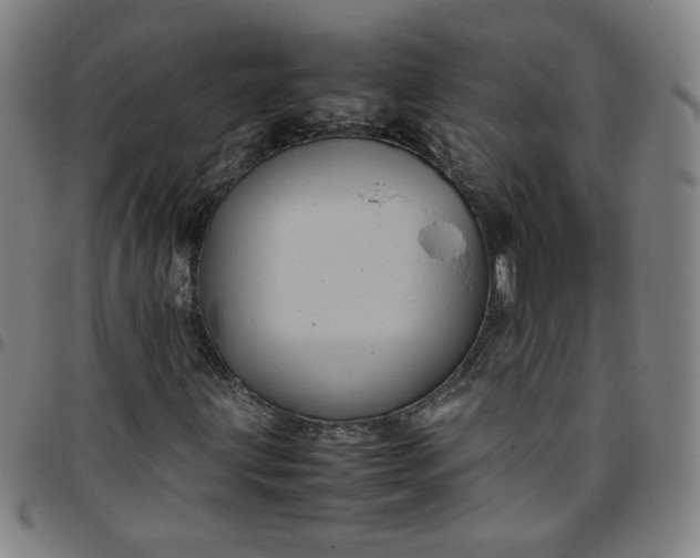 X0000097481203200803071709