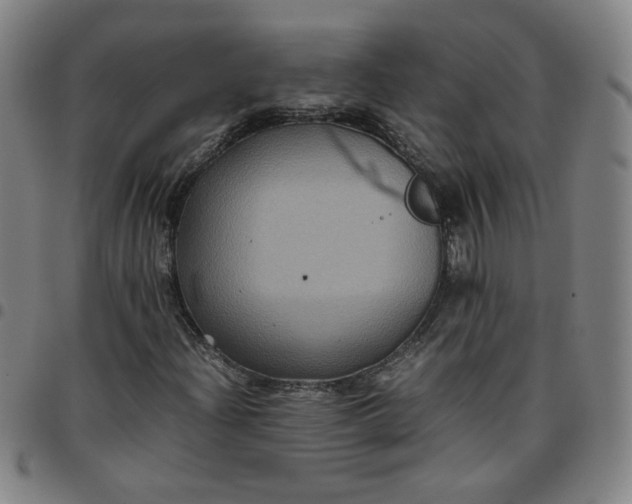 X0000097481204200803071709