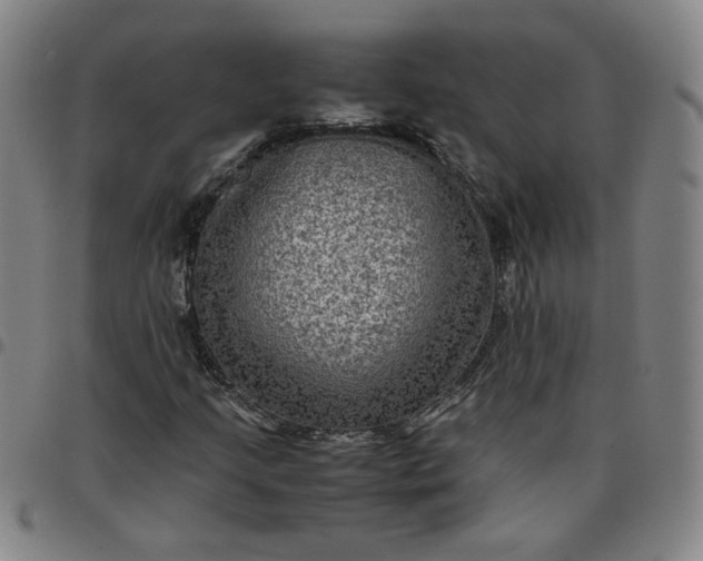 X0000097481205200803071709