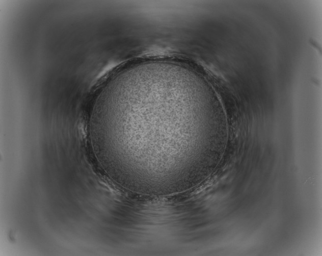 X0000097481206200803071709