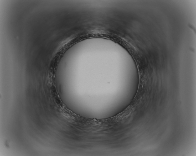 X0000097481207200803071709