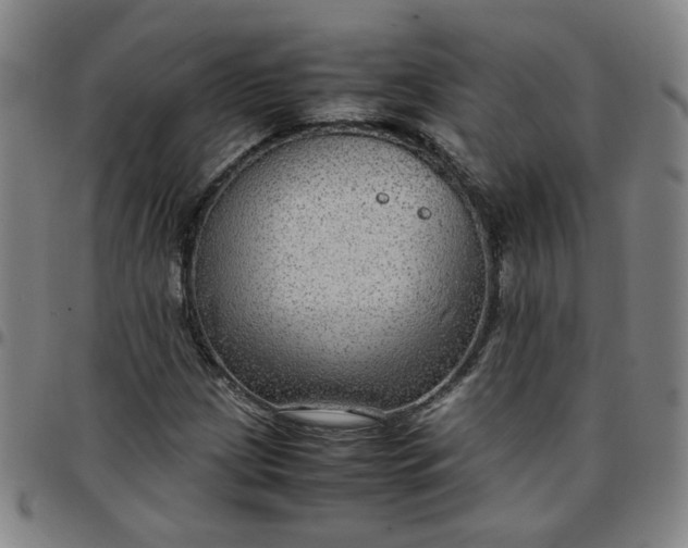 X0000097481209200803071709