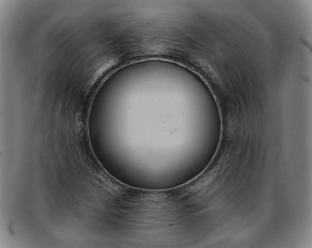 X0000097481210200803071709