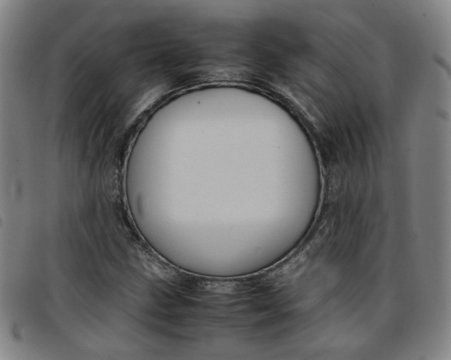 X0000097481211200803071709