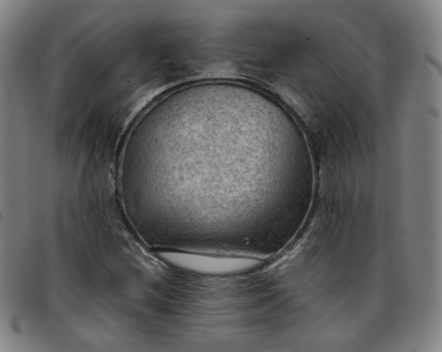 X0000097481212200803071709