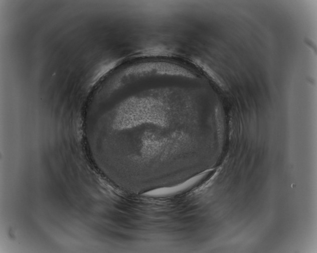 X0000097481213200803071709