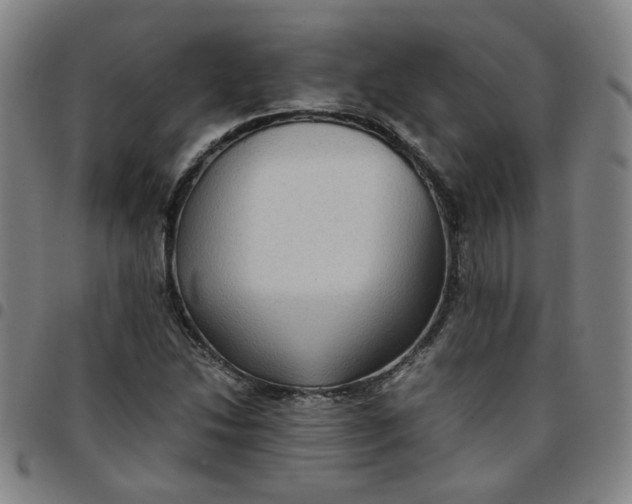 X0000097481214200803071709