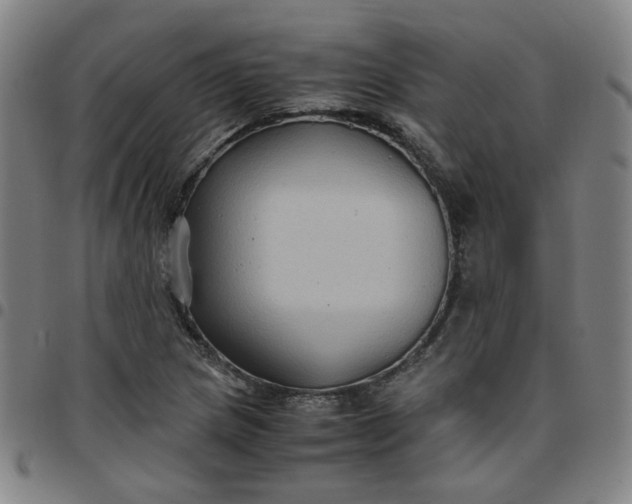 X0000097481217200803071709