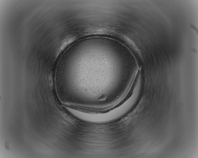 X0000097481218200803071709