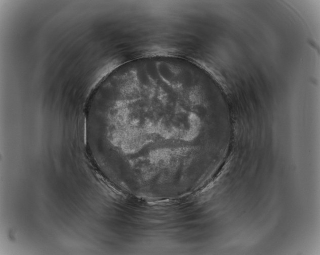 X0000097481219200803071709