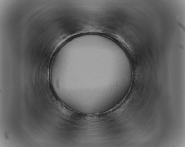 X0000097481220200803071709