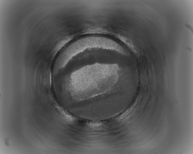 X0000097481221200803071709