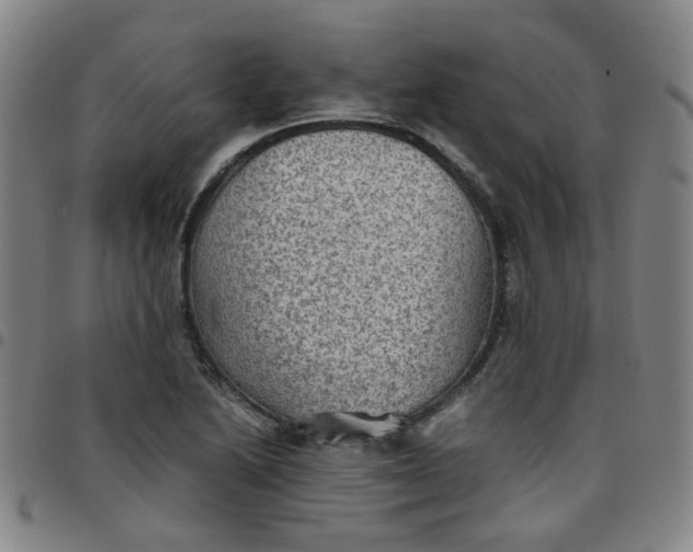 X0000097481222200803071709