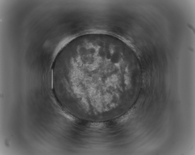 X0000097481223200803071709