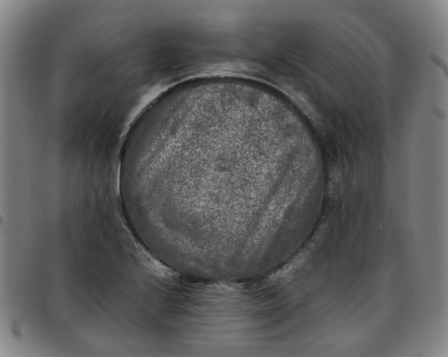 X0000097481224200803071709