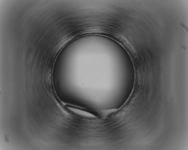 X0000097481225200803071709