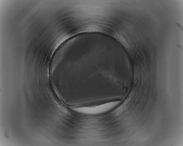 X0000097481226200803071709