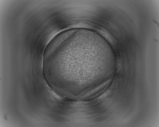 X0000097481228200803071709