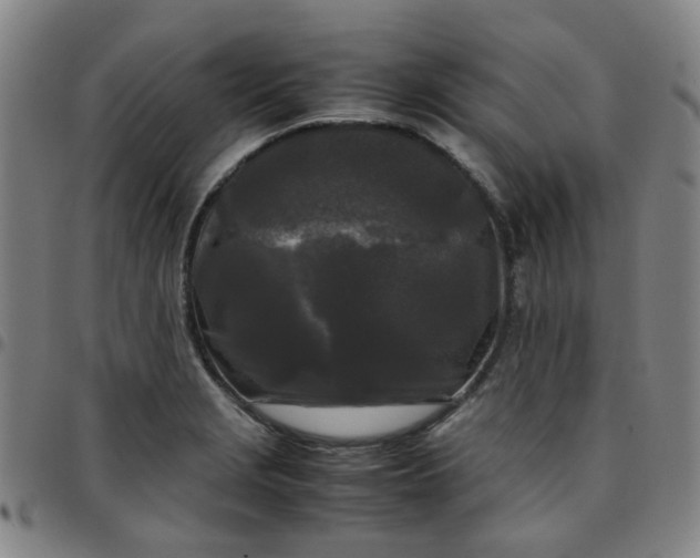 X0000097481229200803071709