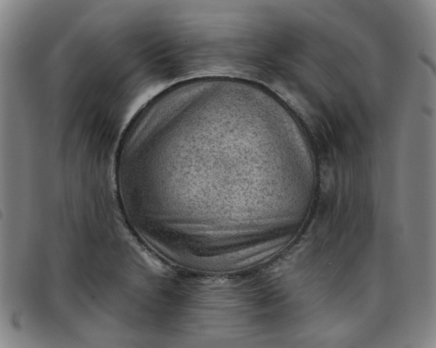 X0000097481230200803071709