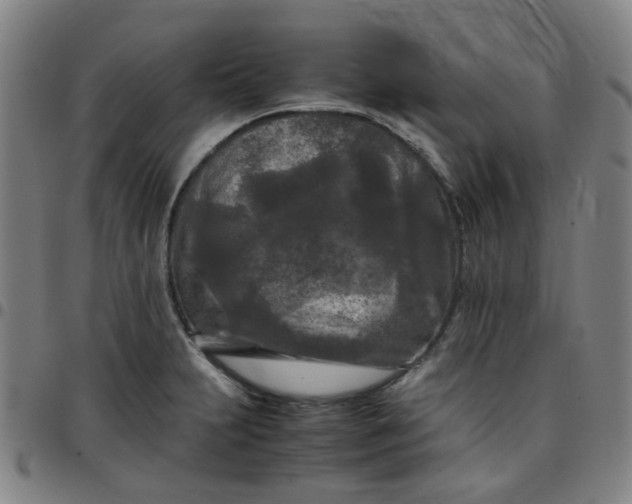 X0000097481231200803071709