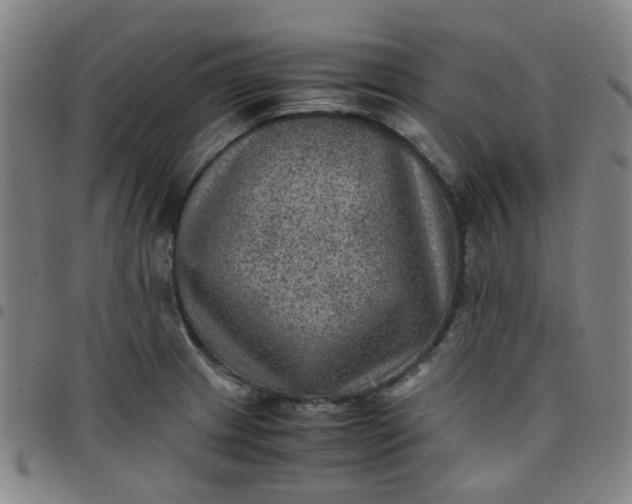 X0000097481233200803071709