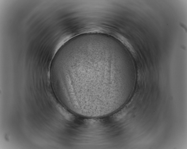 X0000097481234200803071709