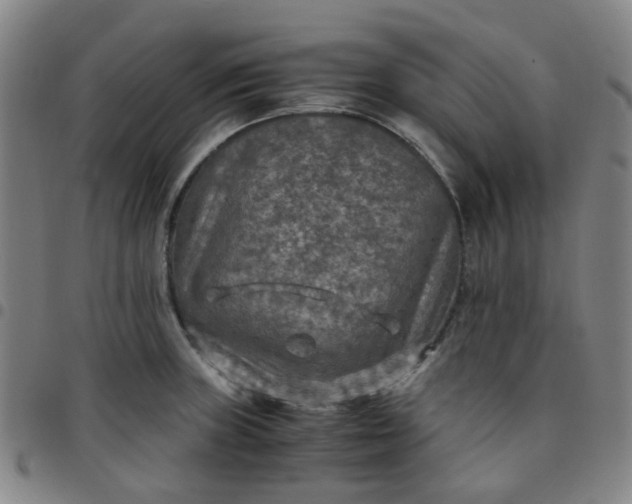 X0000097481235200803071709