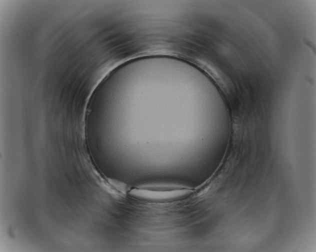 X0000097481236200803071709