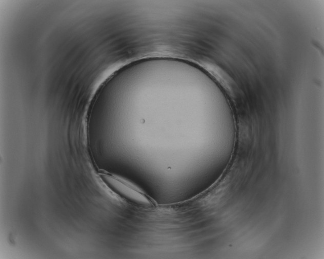 X0000097481238200803071709