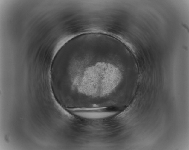 X0000097481239200803071709