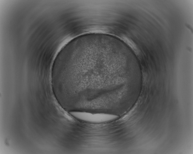 X0000097481240200803071709