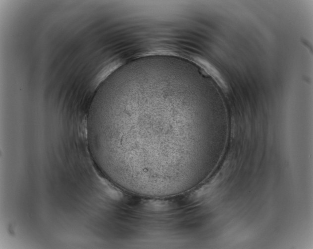 X0000097481241200803071709