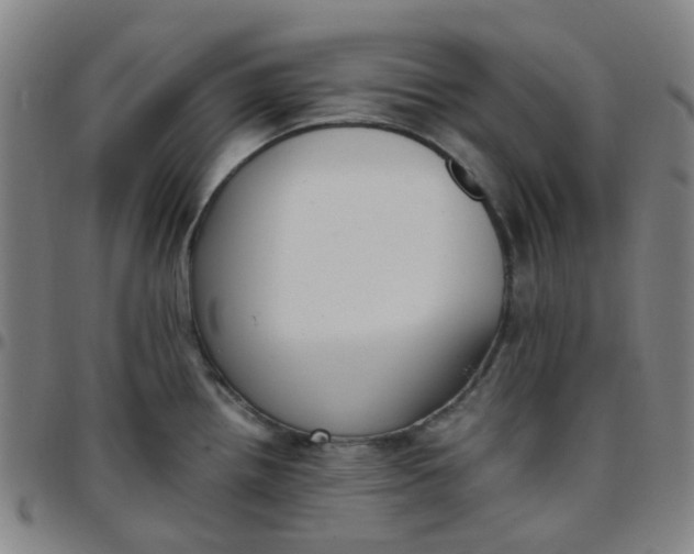 X0000097481242200803071709