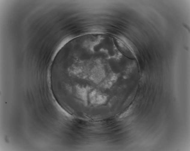 X0000097481243200803071709