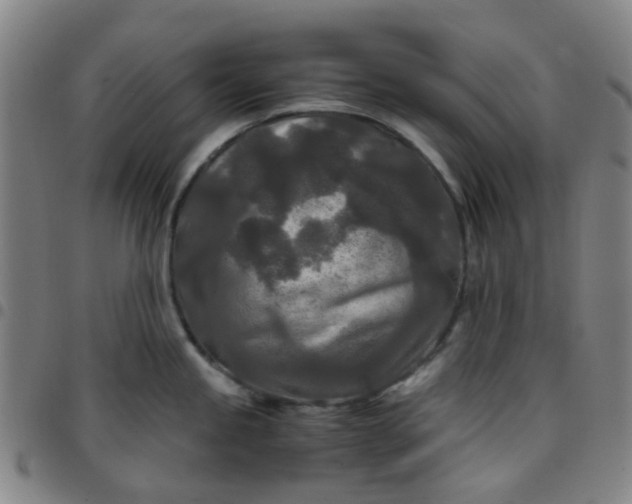 X0000097481245200803071709