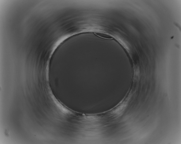 X0000097481246200803071709