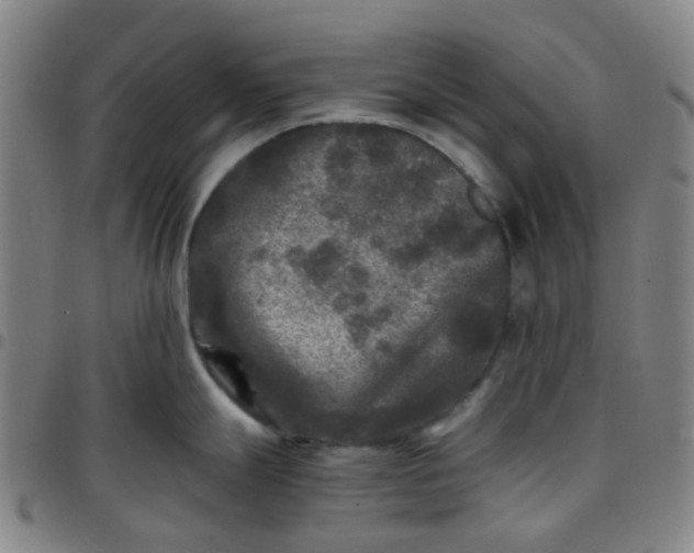 X0000097481247200803071709