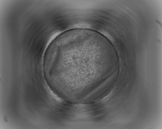 X0000097481248200803071709