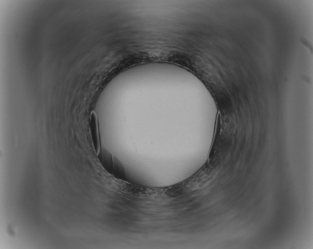 X0000097481249200803071709