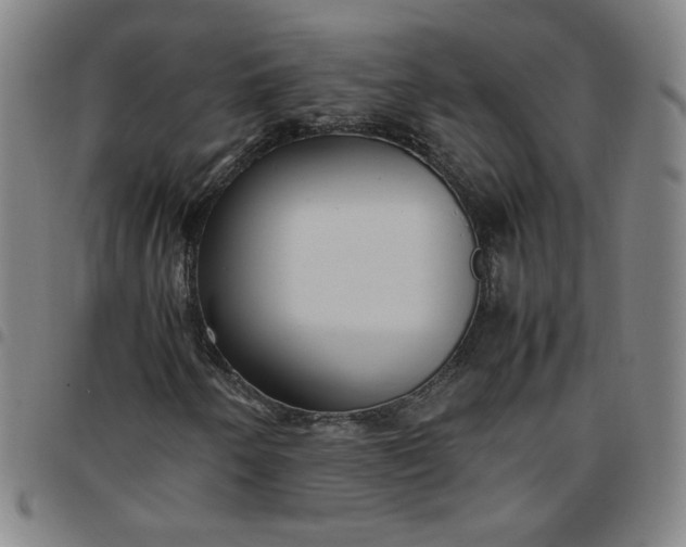 X0000097481250200803071709