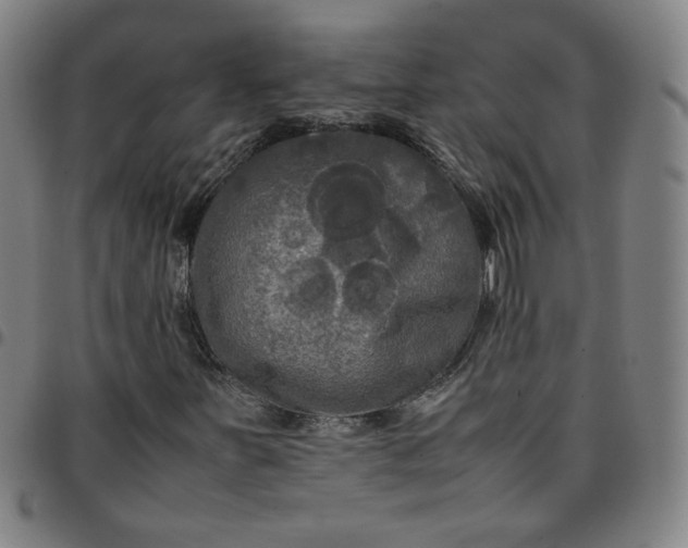 X0000097481251200803071709