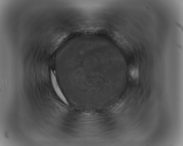 X0000097481252200803071709