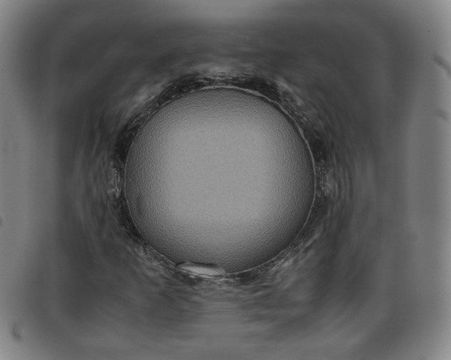 X0000097481253200803071709