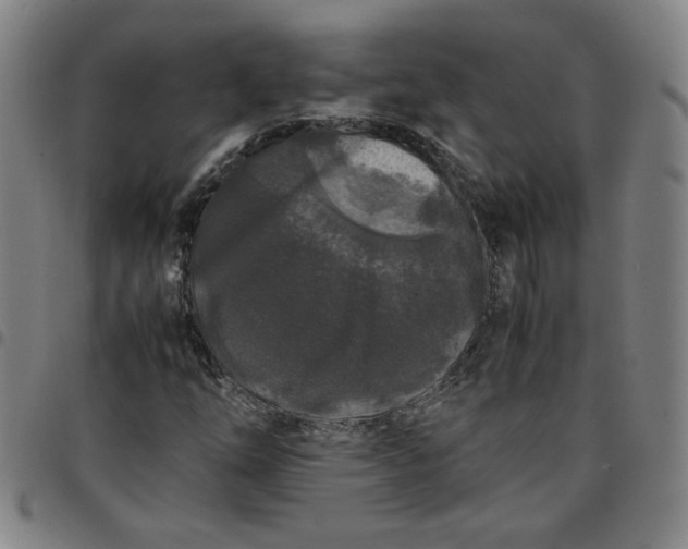 X0000097481254200803071708