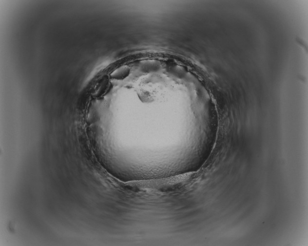 X0000097481255200803071708